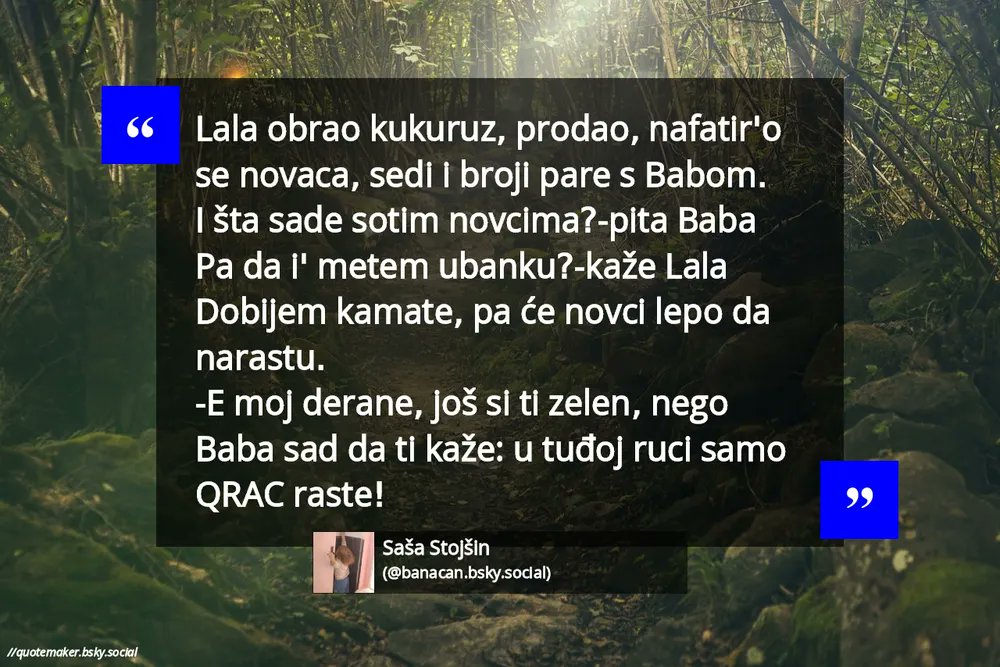 Saša Stojšin tweet media