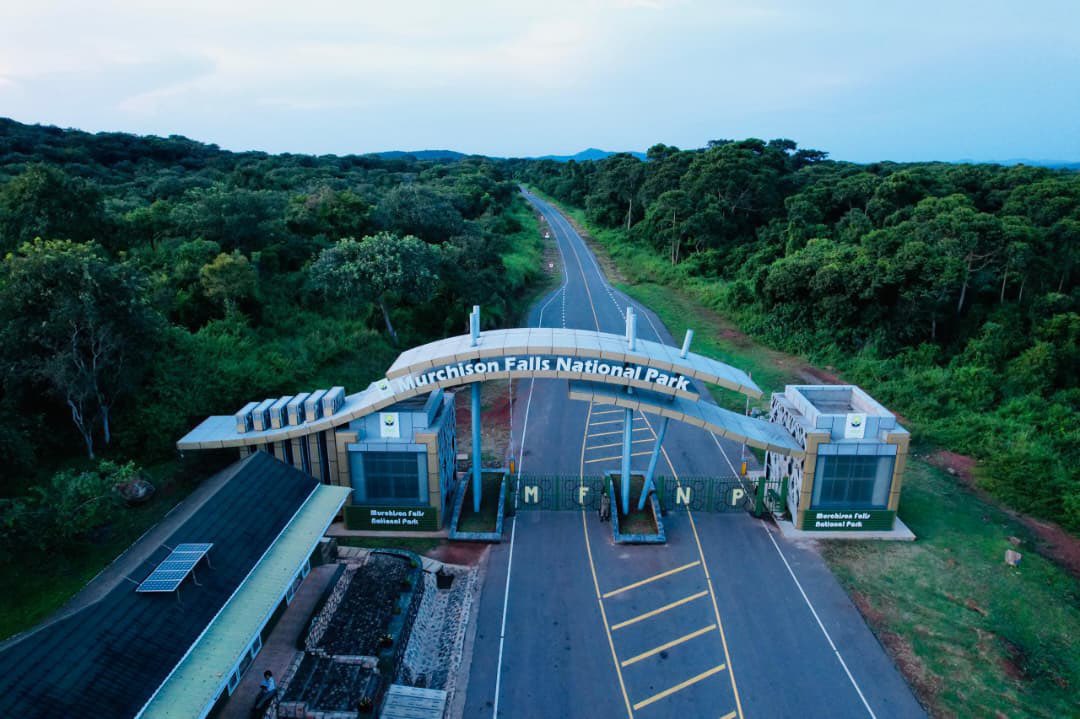 Amon Classie 🇺🇬 tweet media