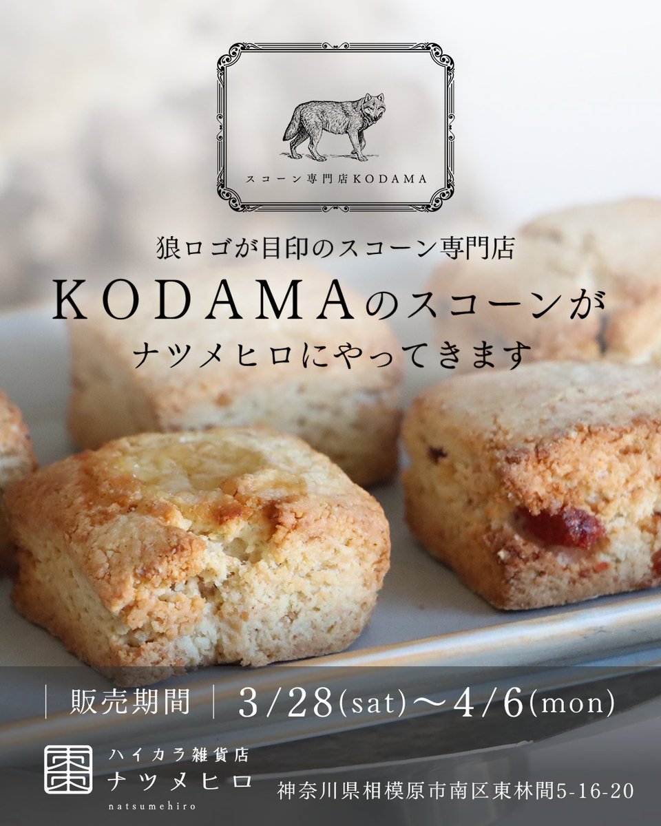 狼のロゴが目印のスコーン専門店『 KODAMA ( <a href="/kodama_scone/">スコーン専門店KODAMA</a> )』さんのスコーンがハイカラ雑貨店ナツメヒロにやってきます🐺
3月28日（土）〜4月6日（月）の2週間限定販売！この機会にぜひお買い求めください。