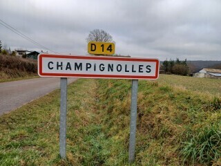 Le Parisien tweet media