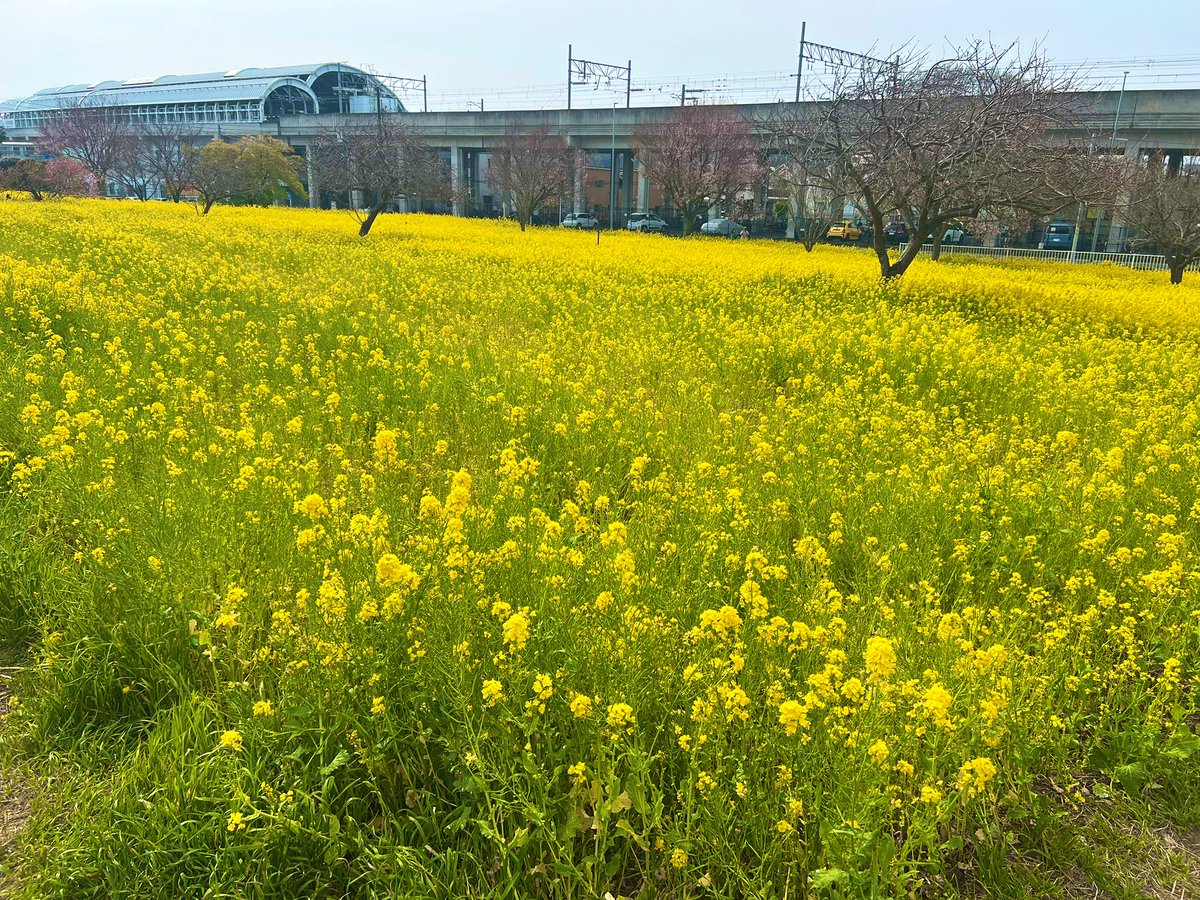 泉ノ波あみとあみです、どうも。 tweet media