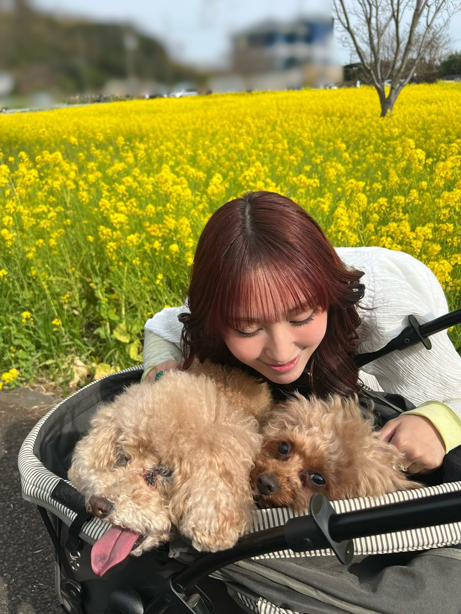 泉ノ波あみとあみです、どうも。 tweet media