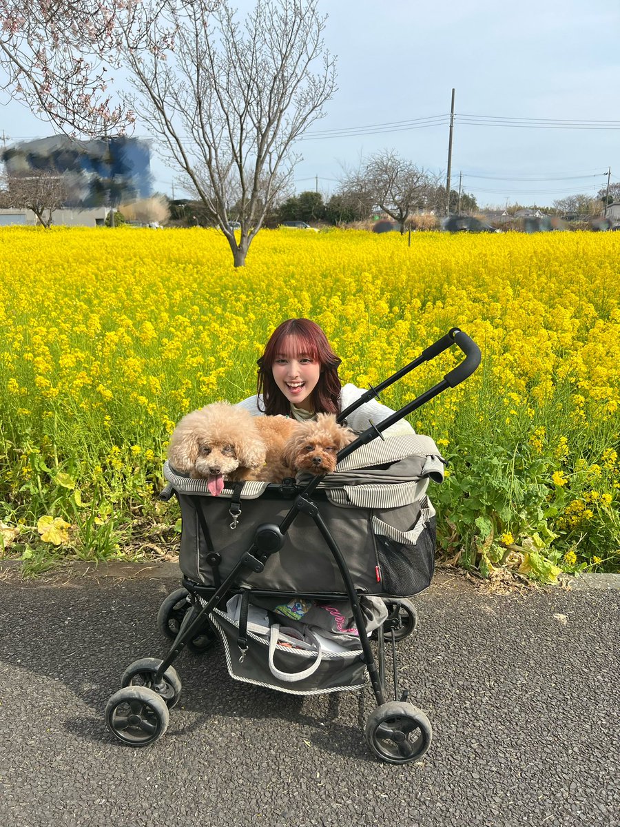 泉ノ波あみとあみです、どうも。 tweet media