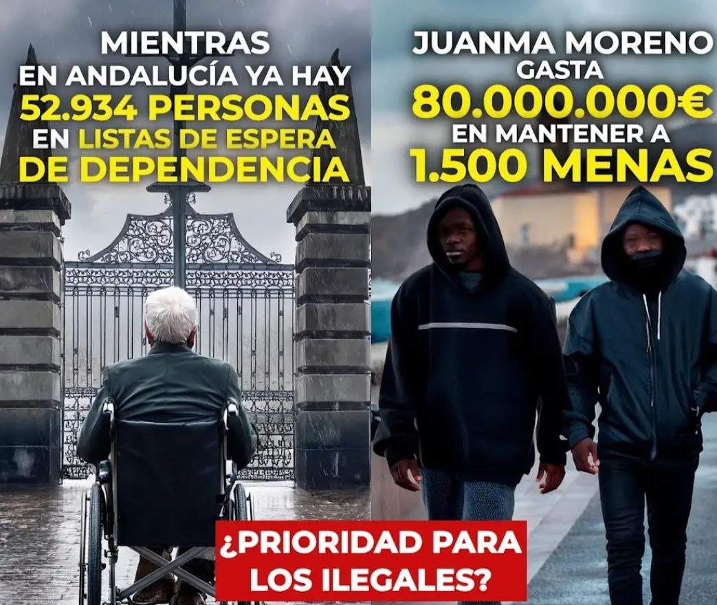 🐗MalasPulgas🐗 tweet media