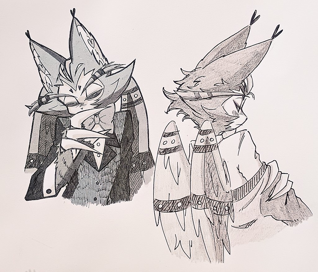 またたび tweet media