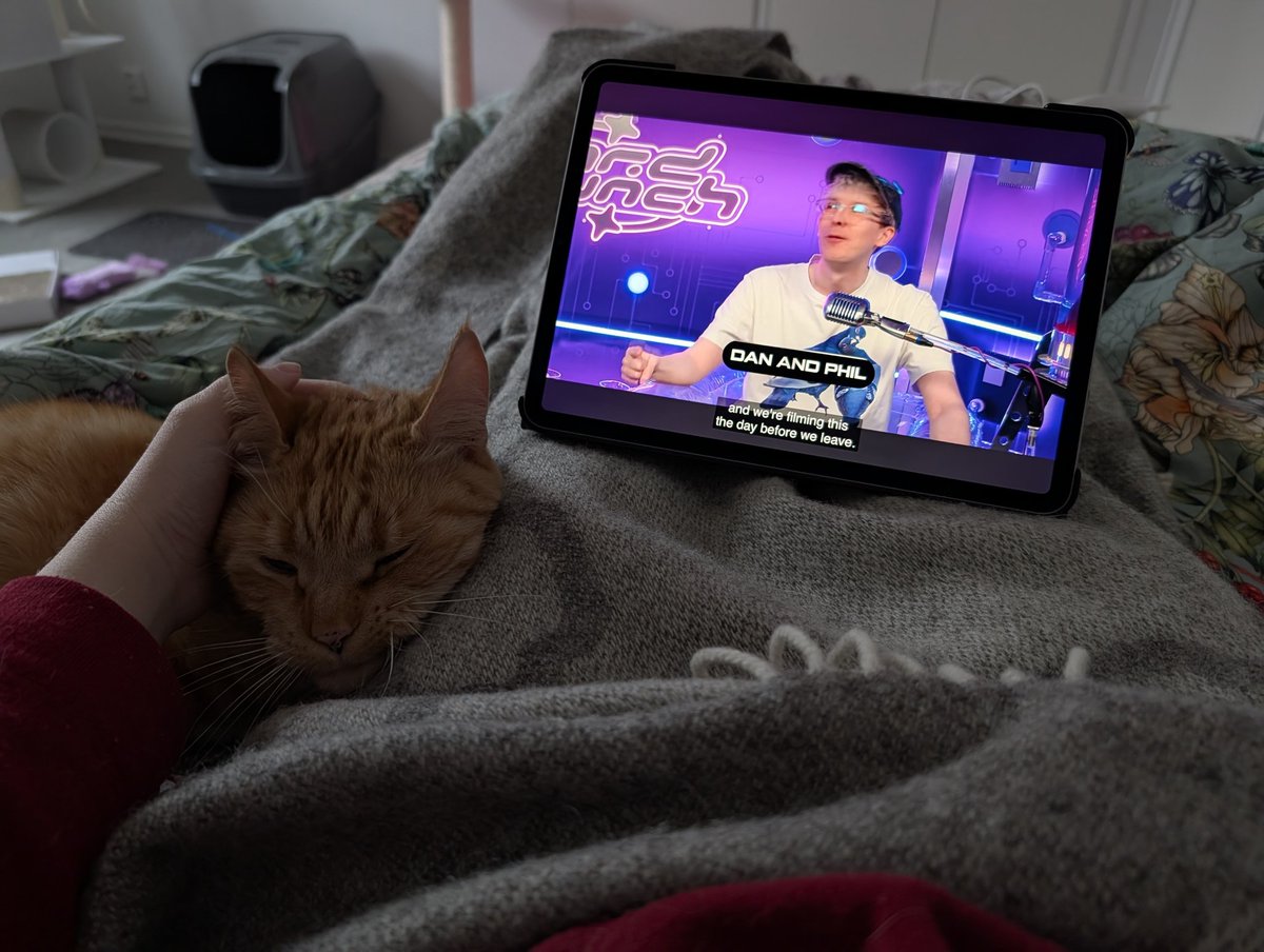 fay 🐢 tweet media