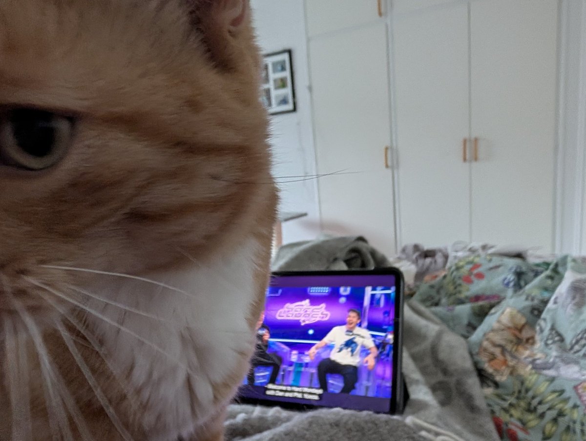 fay 🐢 tweet media