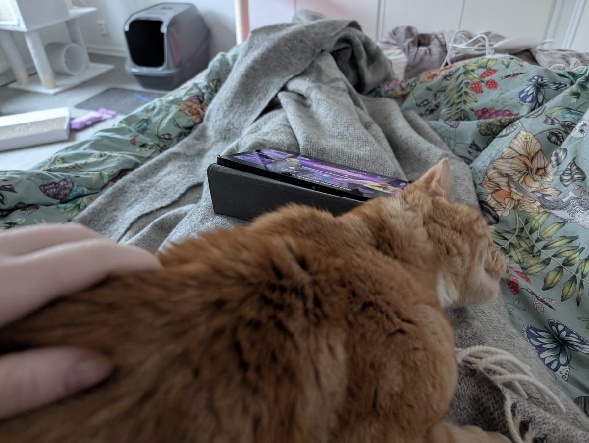 fay 🐢 tweet media