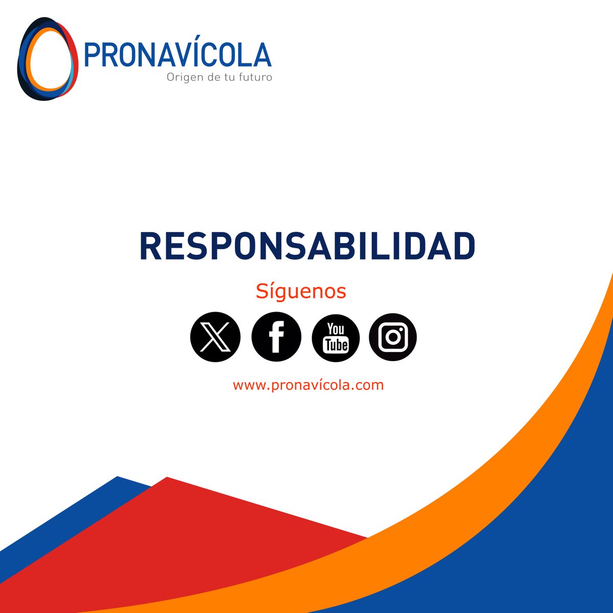 Somos una empresa comprometida con la responsabilidad social empresarial y el cuidado del ecosistema.
pronavicola.com/rse