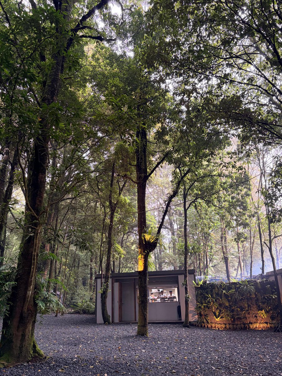 Arnold_Bolang24 tweet media