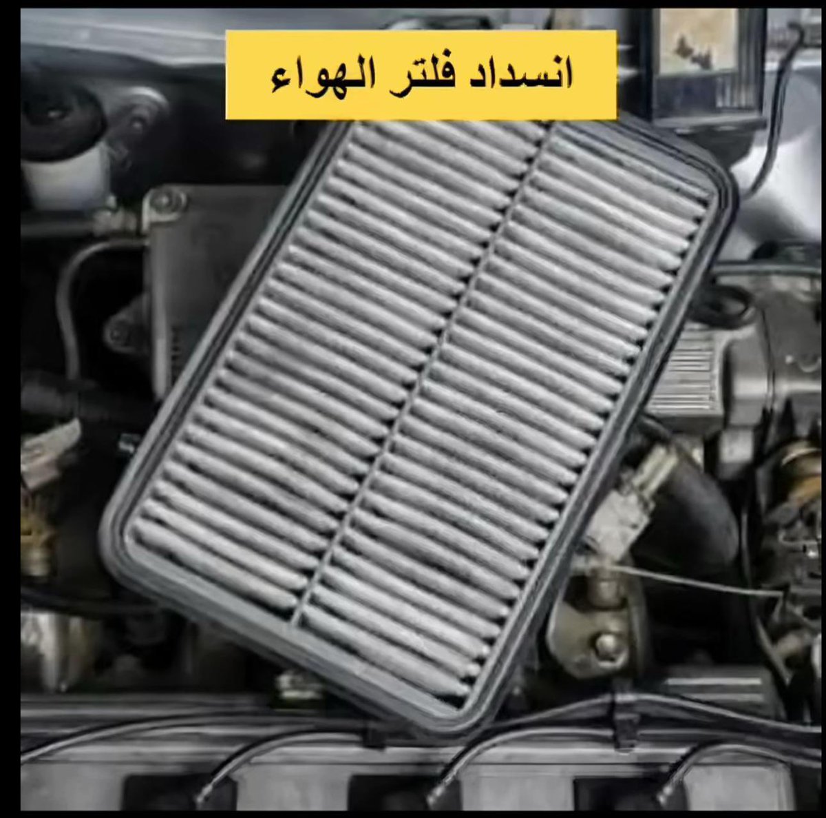 محمد السهلي tweet media