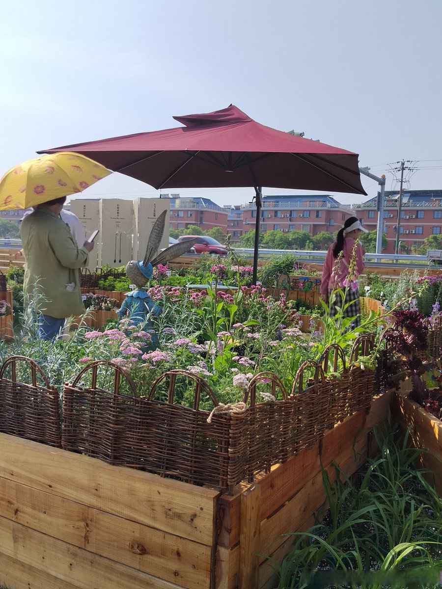 Марьям Устарханова tweet media