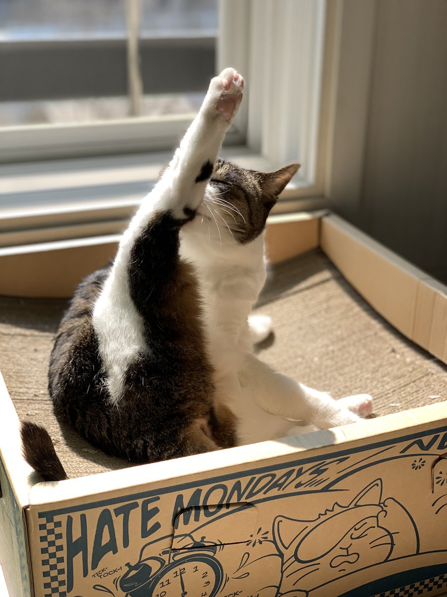 달님이 tweet media