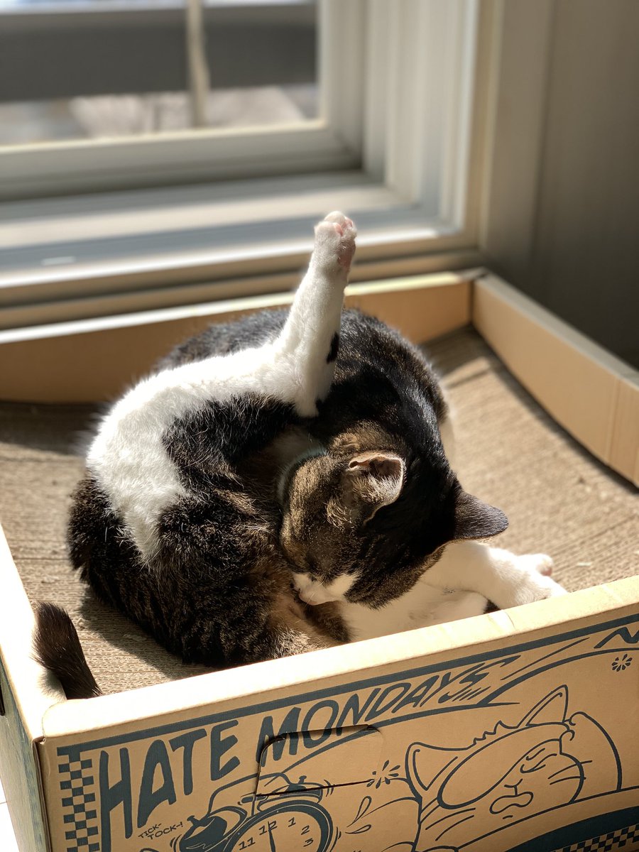 달님이 tweet media