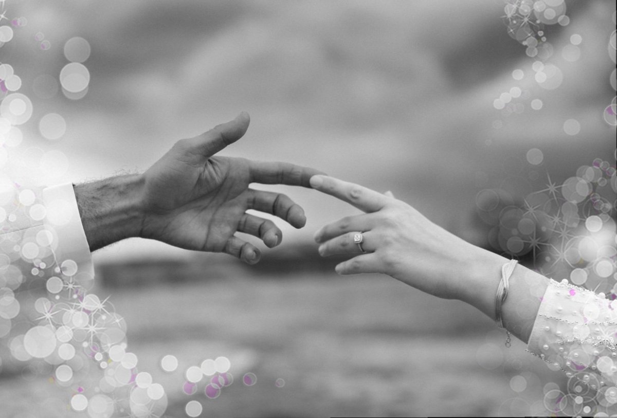 Electra ๑✿.๑¯`·❥🚫DM tweet media