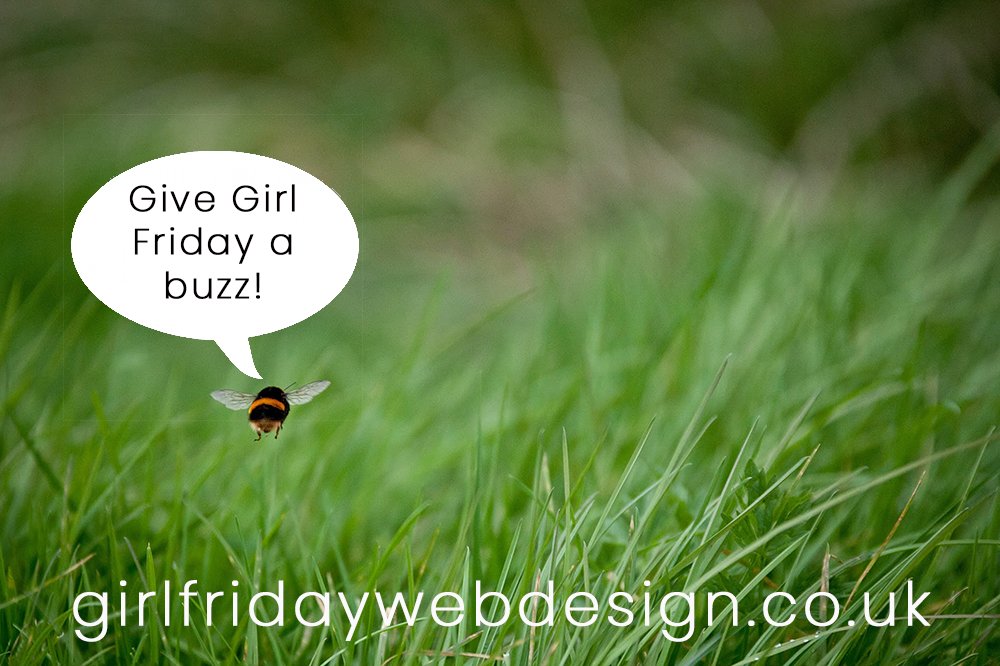 Girl Friday Web Design & SEO tweet media