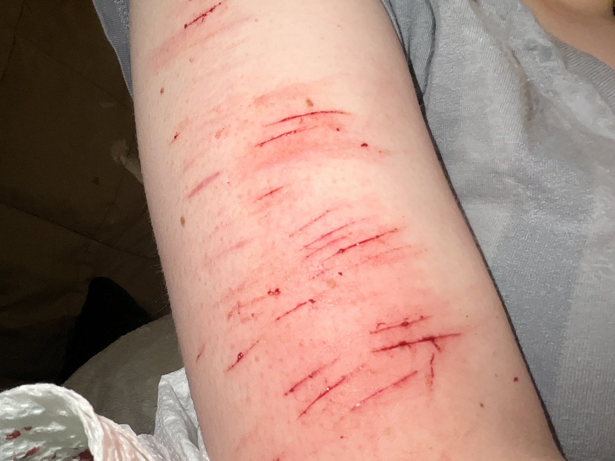 dumdoii_rammy tweet media