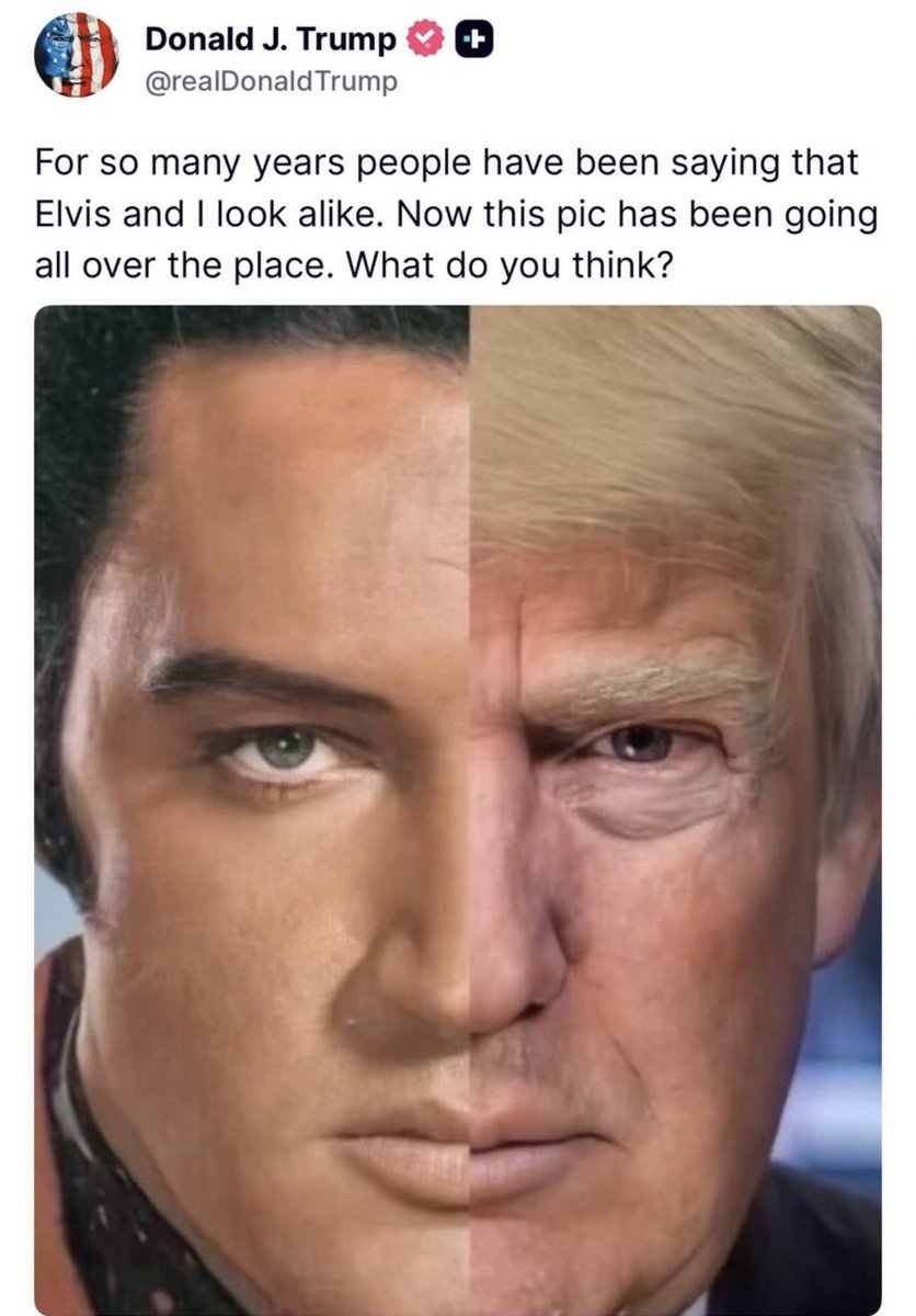 Elizabeth tweet media