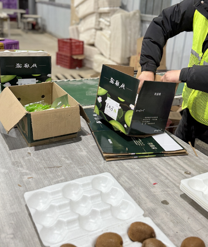 Sara Parodi tweet media