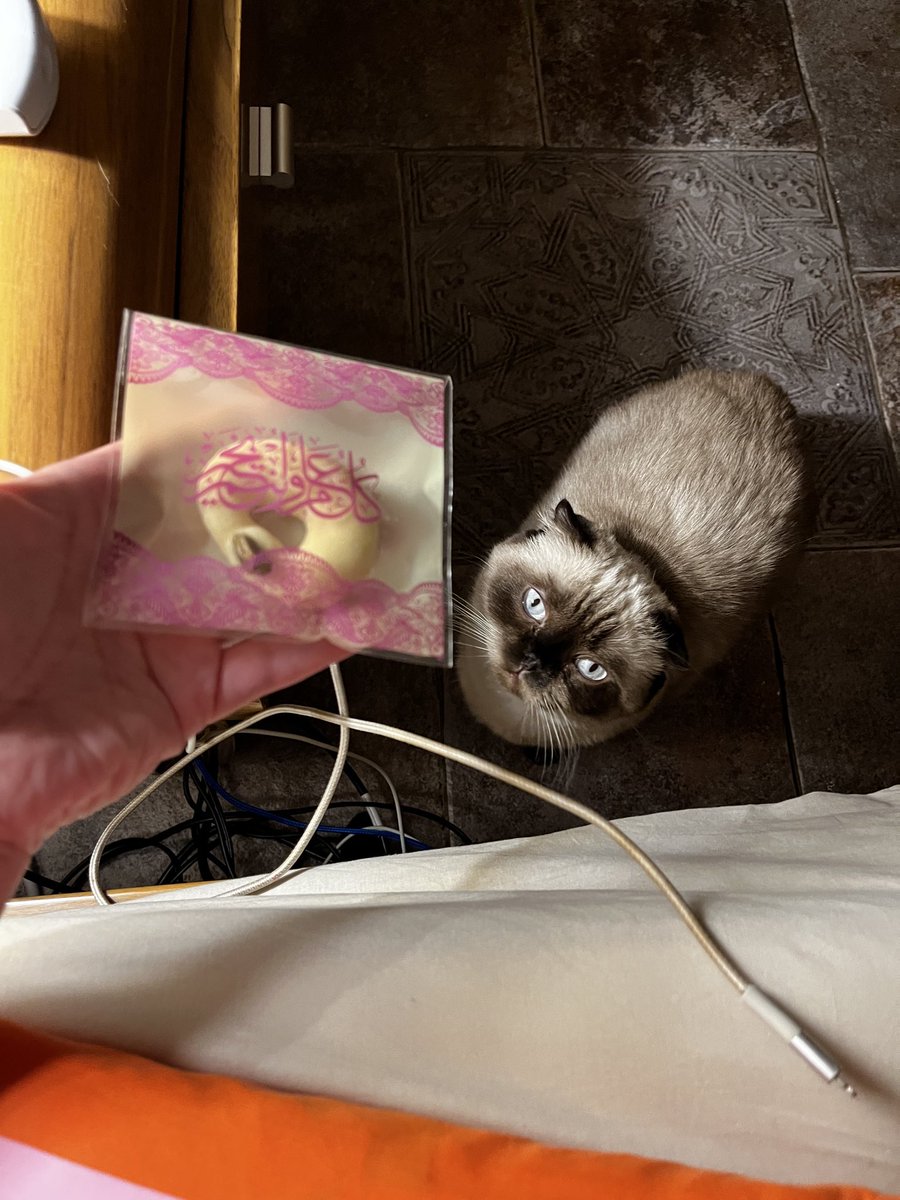 دينا💆🏻‍♀️ tweet media