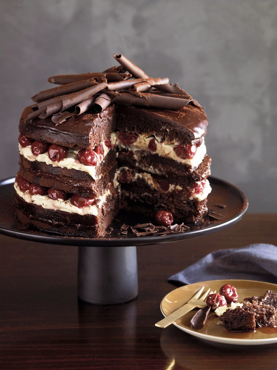 Faten Mtanos T. tweet media