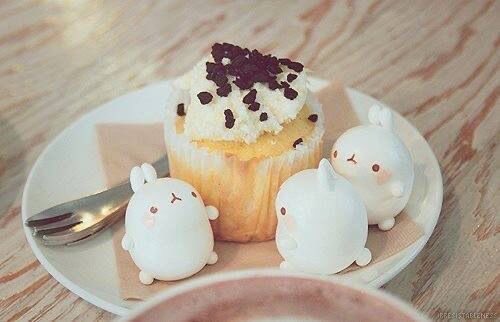 biscuit ᘏ⑅ᘏ tweet media