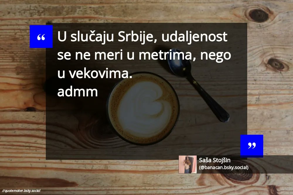 Saša Stojšin tweet media