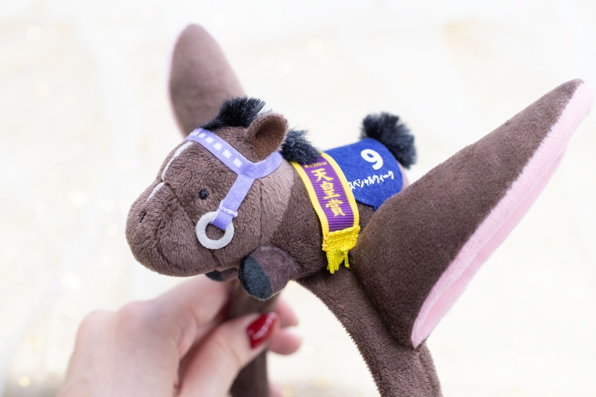 サラブレッドコレクション【公式】 tweet media