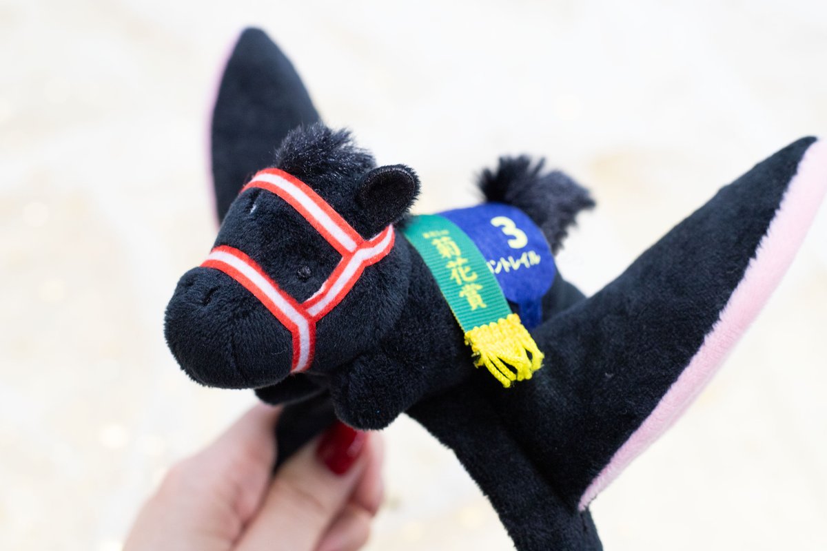 サラブレッドコレクション【公式】 tweet media