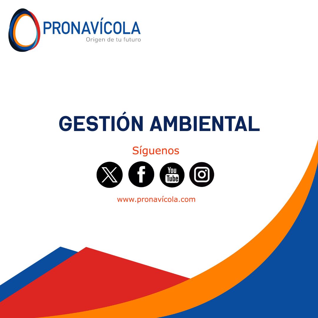 Contamos con un centro de acopio principal para el almacenamiento de los residuos generados en todas las dependencias de la empresa, así como con centros de acopio y puntos ecológicos satélite ubicados en los diferentes centros de trabajo.
pronavicola.com/rse/gestion-am…