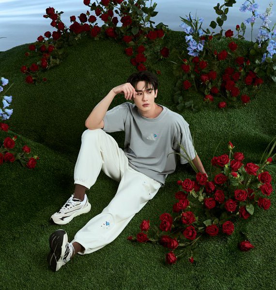 YT • ForceBook Fancon 🦊🍅 tweet media