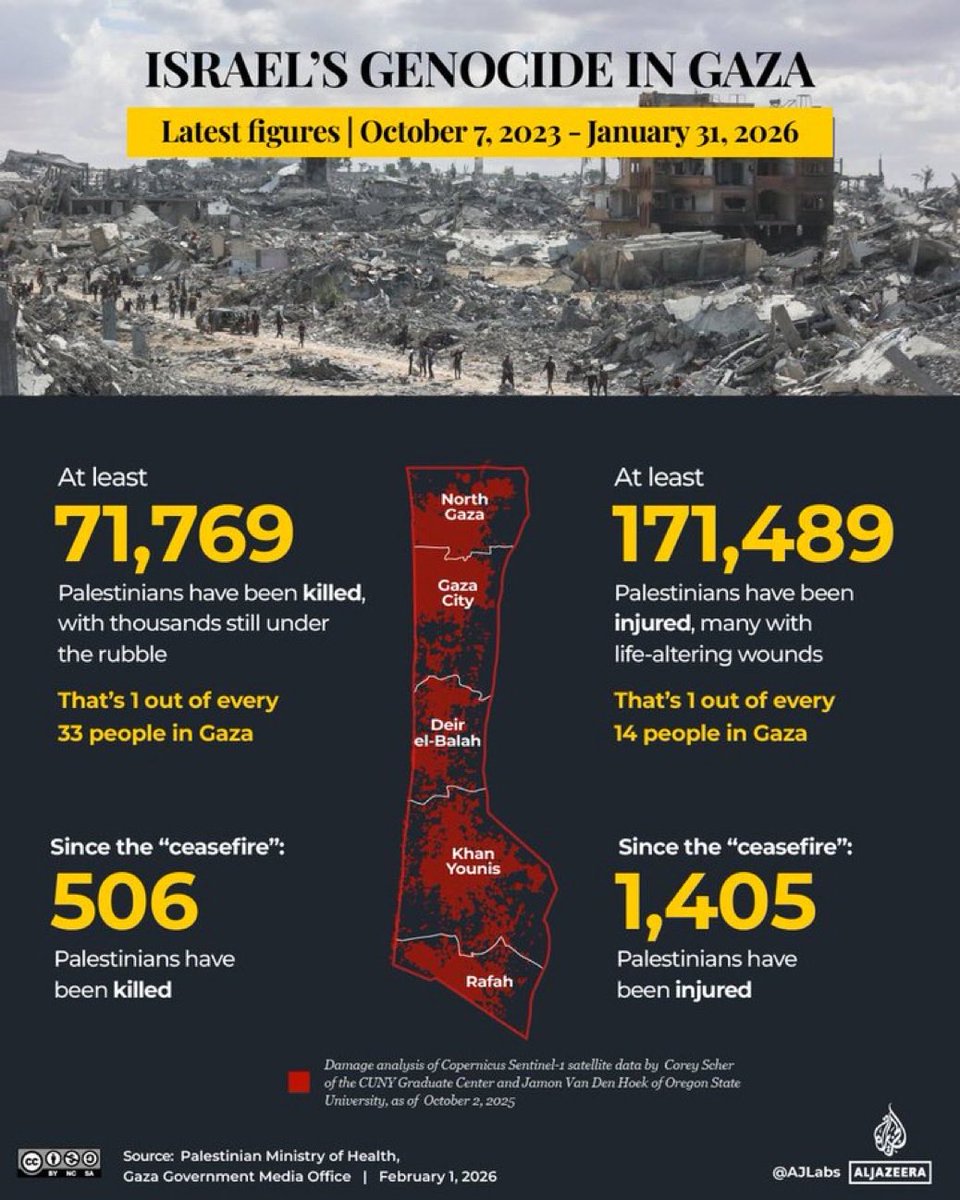 Bash 🇵🇸 tweet media