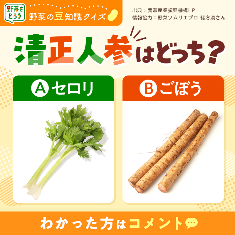 セロリ　　他の方は購入しないでください 楽天市場】セロリ（食品）の通販