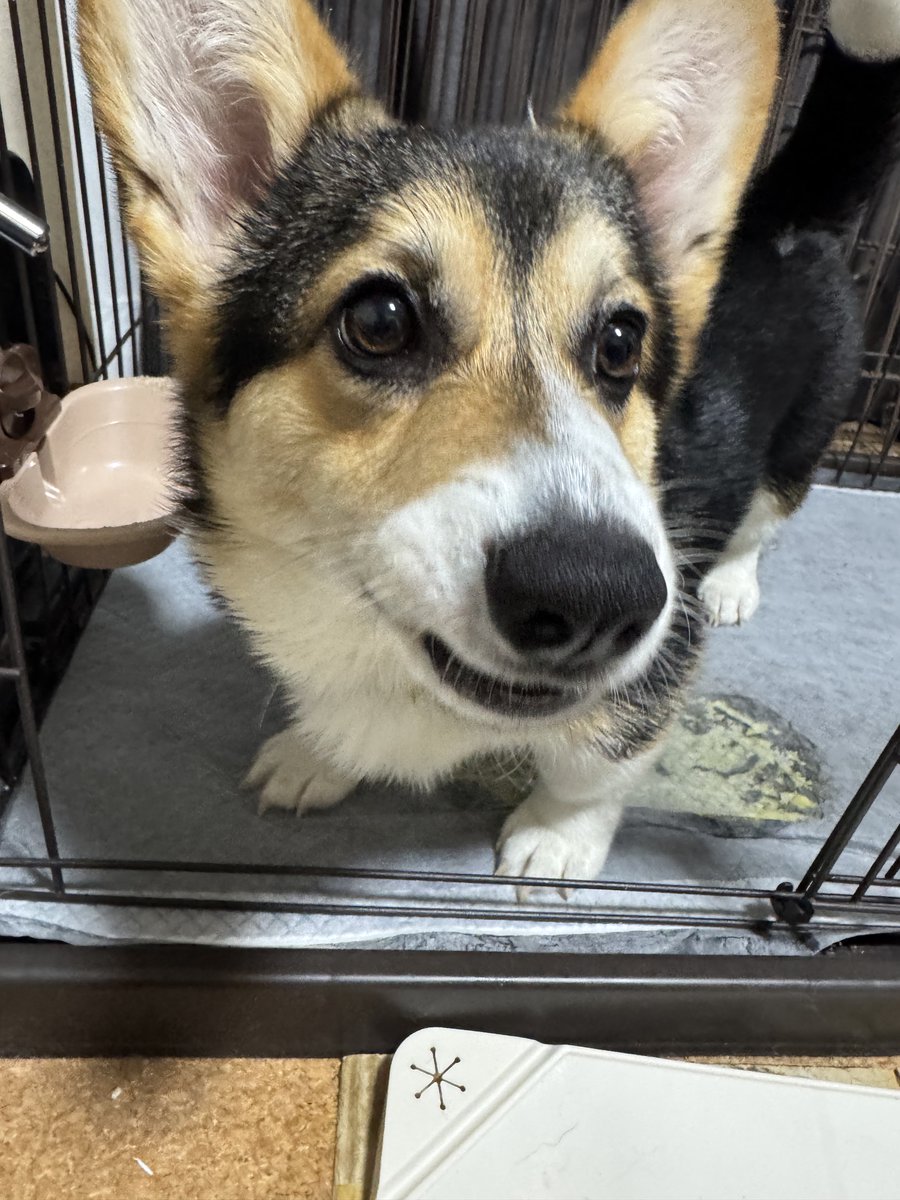 さいとう tweet media