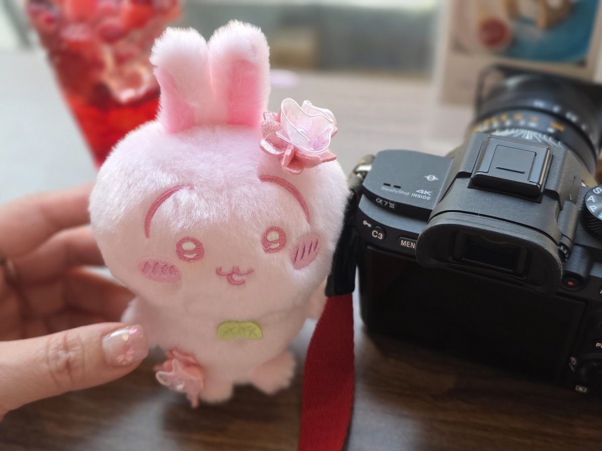 モン〜(⁠◕⁠ᴗ⁠◕⁠✿⁠) tweet media