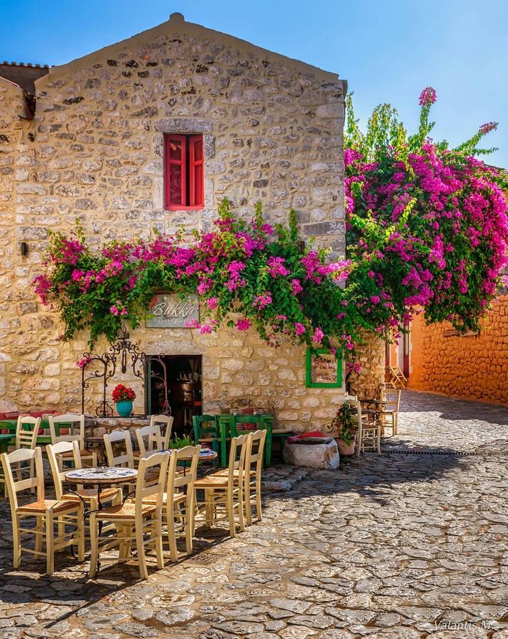 ΓΕΩΡΓΙΑ ΜΠΑΛΛΗ tweet media