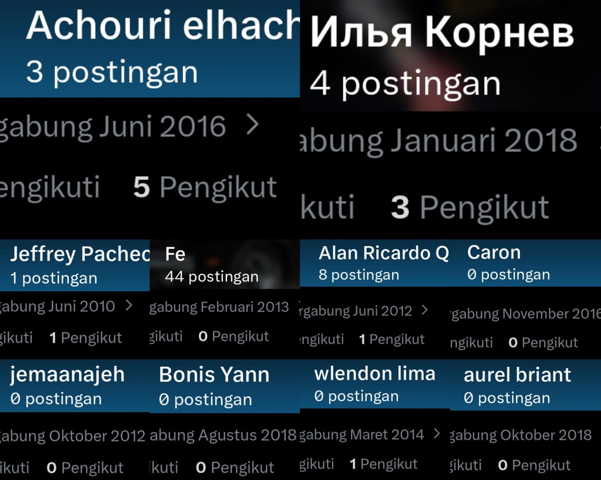 사랑하는 prima. 🐇 tweet media