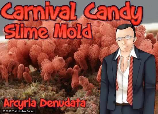 NEW AGE MOLD tweet media