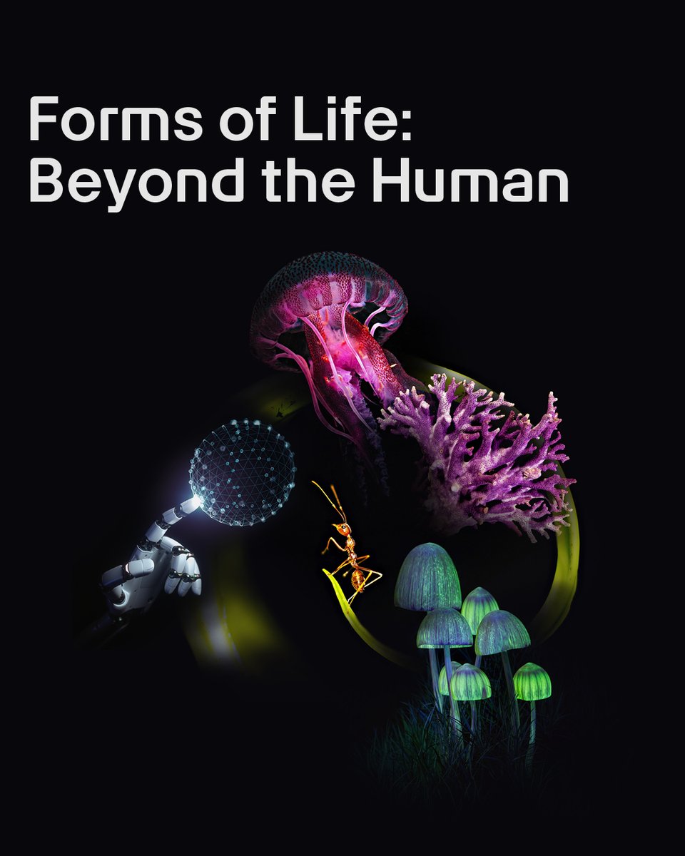 ArtScience Museum tweet media