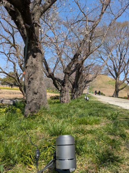 埼玉県立さきたま史跡の博物館 tweet media