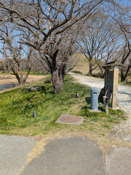 埼玉県立さきたま史跡の博物館 tweet media