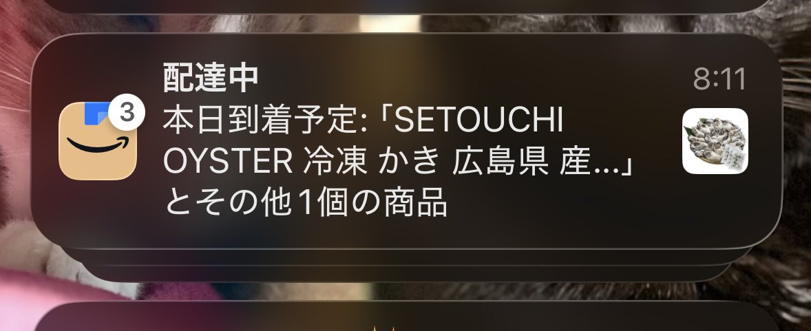 Forceましまし tweet media