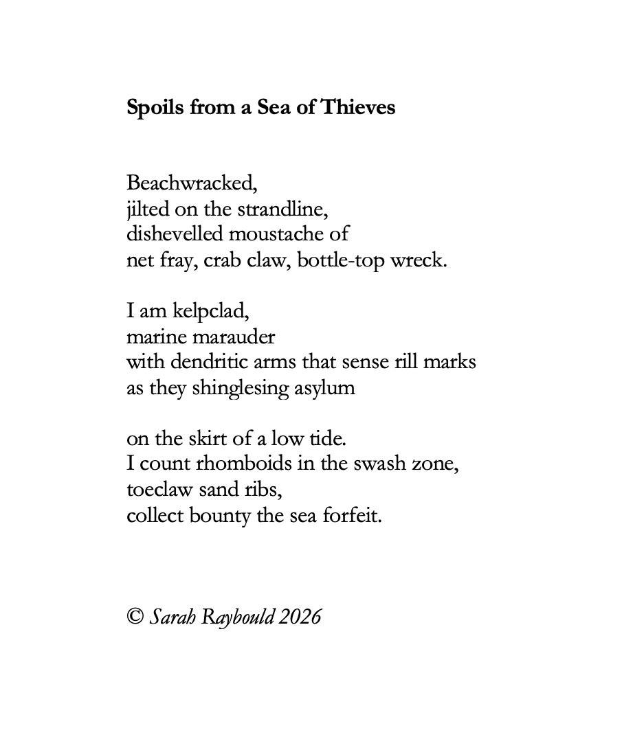 Sarah Raybould tweet media