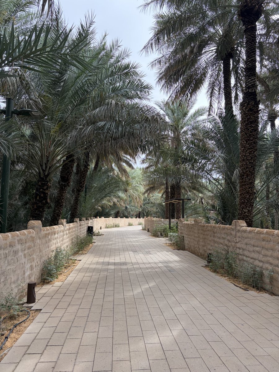 سعيد.| صلّوا ع النبي ﷺ tweet media