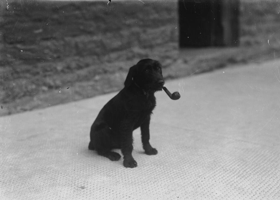 Eye On Axis tweet media