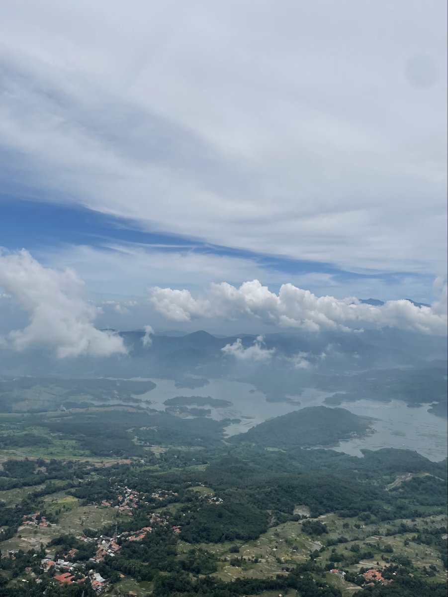 toothless tweet media