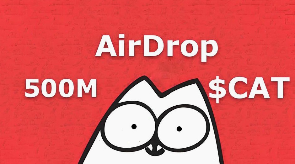 tracy ackley tweet media