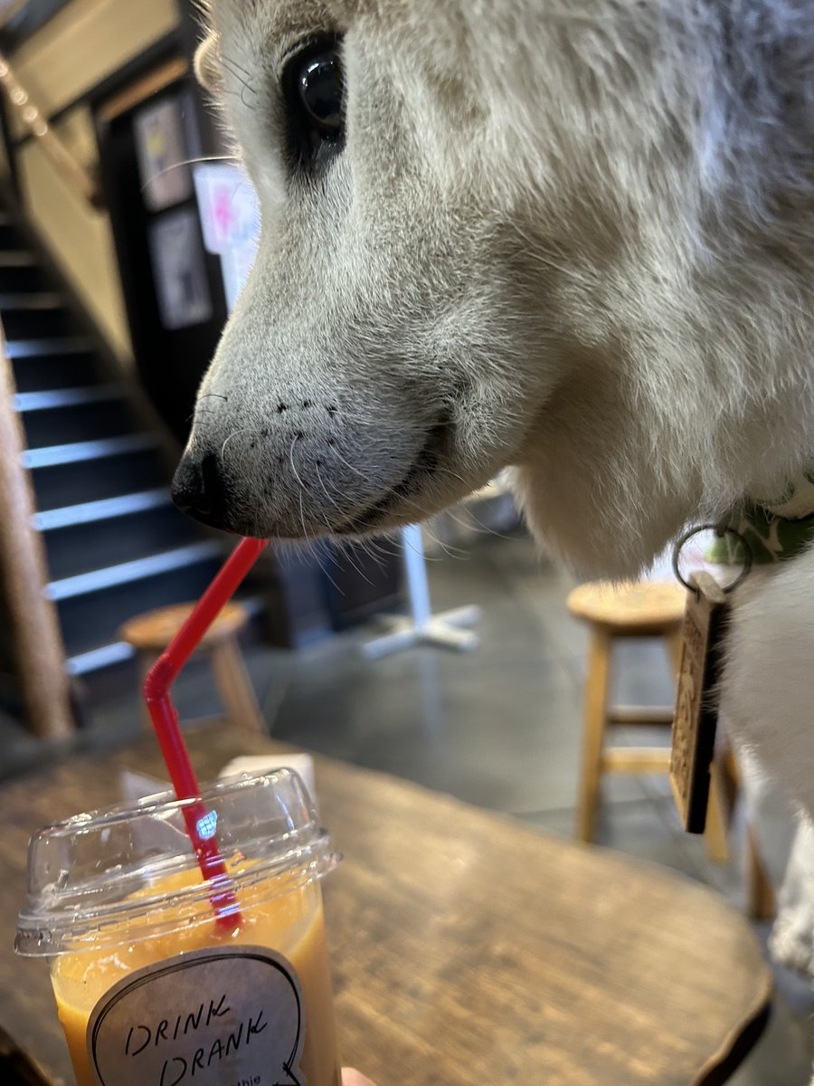 太郎空将 tweet media