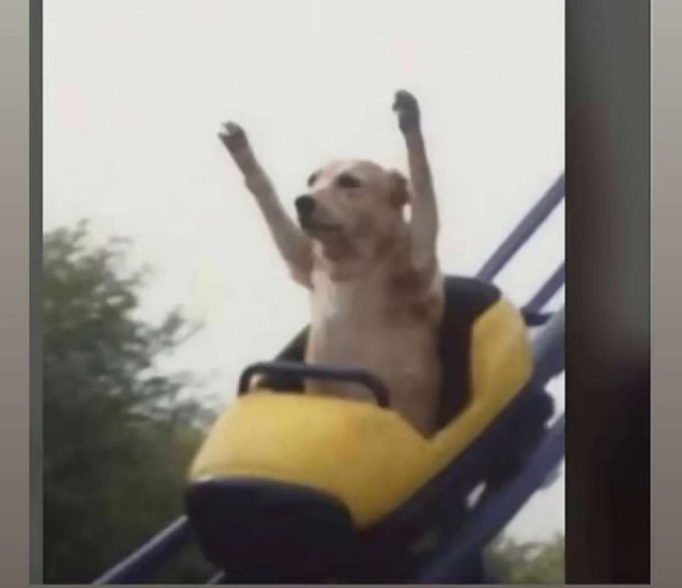 thecrown👑 kill themdictators tweet media