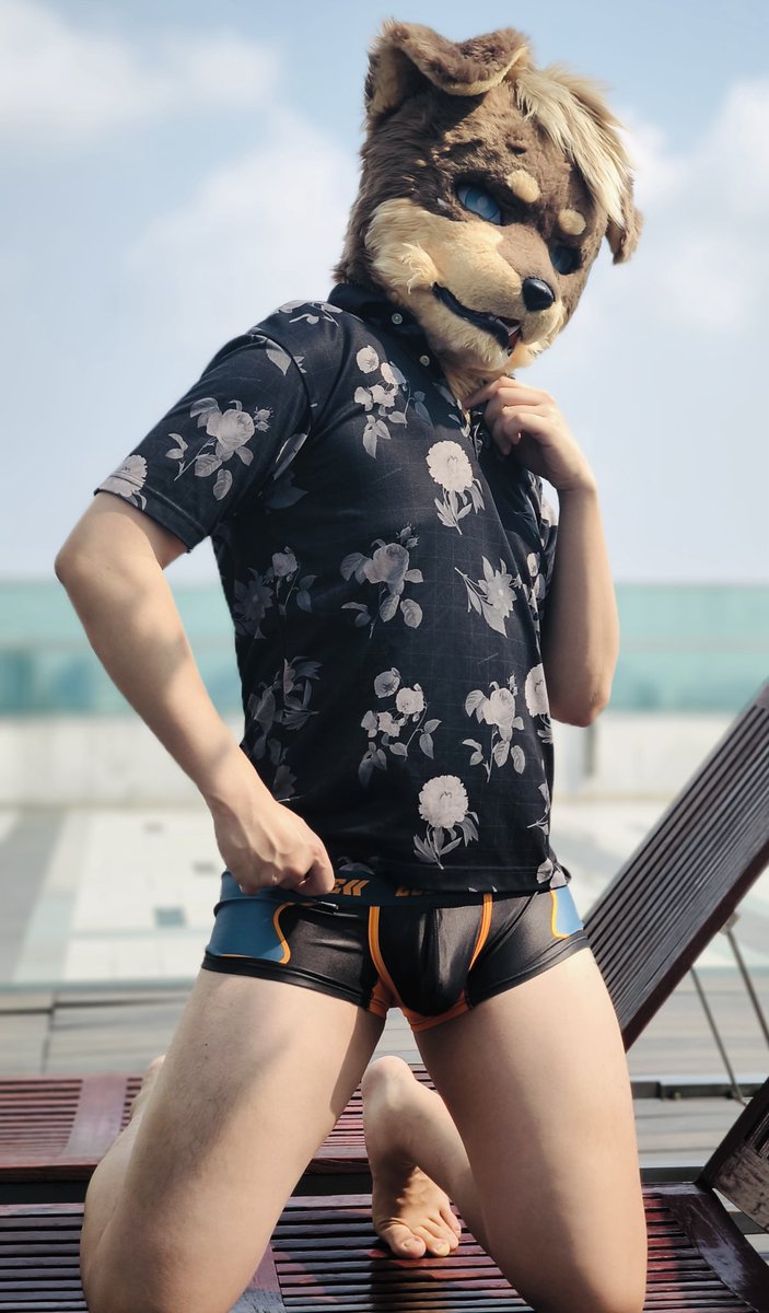 汪歐 | Wantallday 🔜 2026Thaitails tweet media